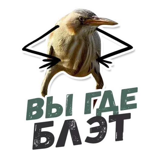 Blet - Sticker 18