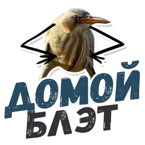 Blet - Sticker 12