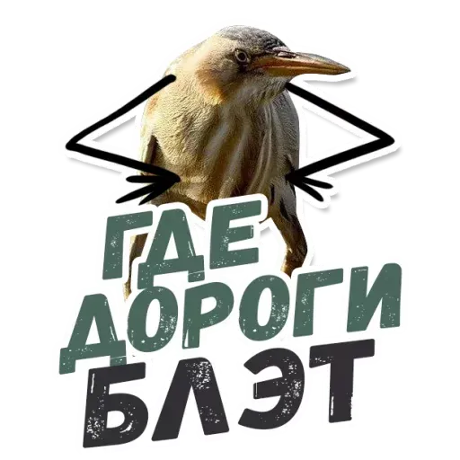 Blet - Sticker 17