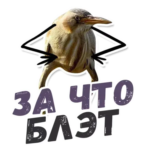 Blet - Sticker 20