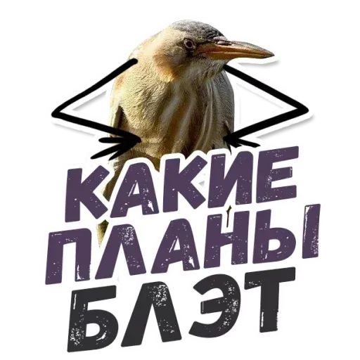 Blet - Sticker 13