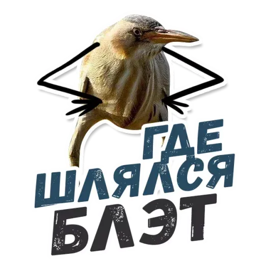 Blet - Sticker 9