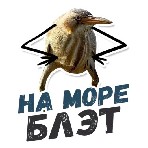Blet - Sticker 10