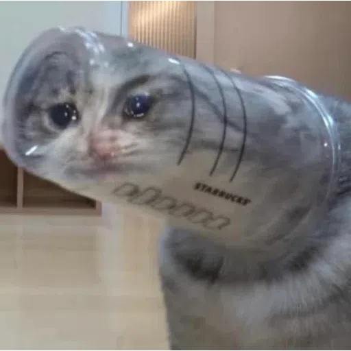 Cat4 - Sticker 18