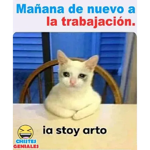 Enana 10 - Sticker 16