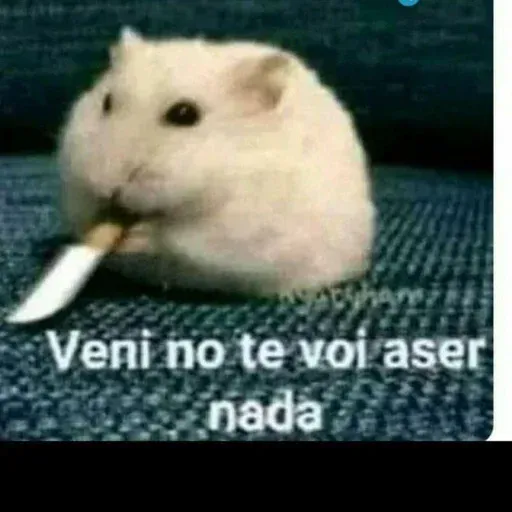 Enana 10 - Sticker 20