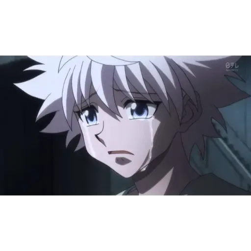 HxH Killua - Sticker 13