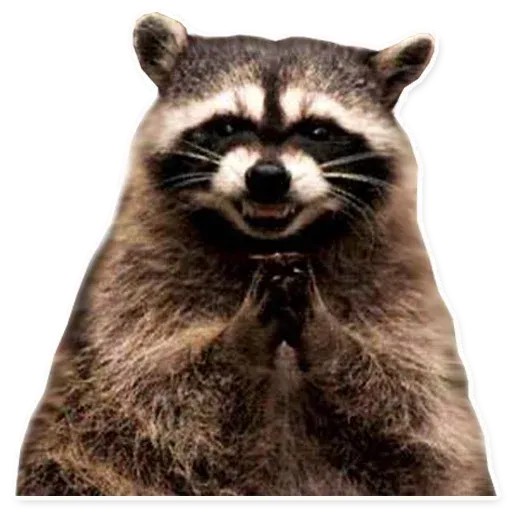 Random Pack - Sticker 10