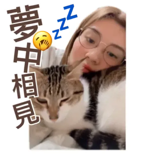 candy - Sticker 9