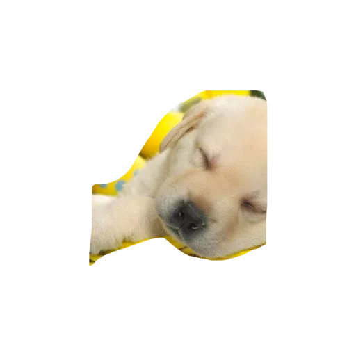 милые собаки - Sticker 14