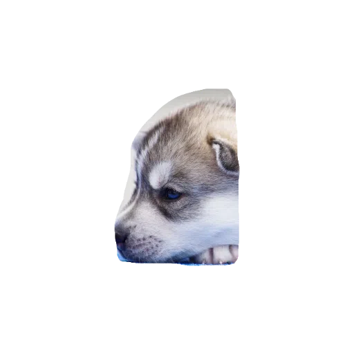милые собаки - Sticker 15