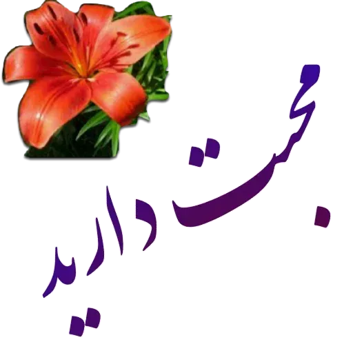 مراد اکبری - Sticker 20