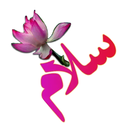 مراد اکبری - Sticker 14