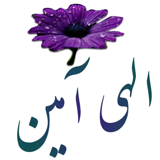 مراد اکبری - Sticker 24