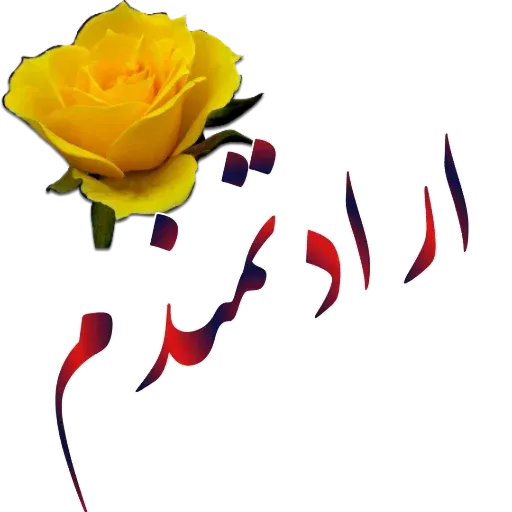 مراد اکبری - Sticker 27