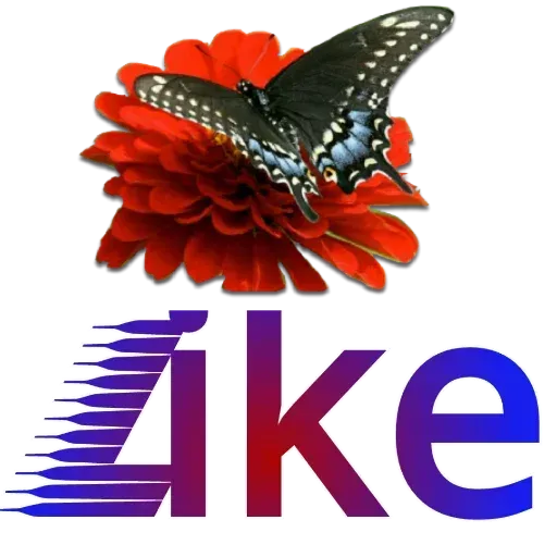 مراد اکبری - Sticker 28