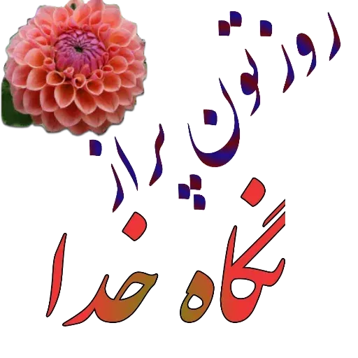 مراد اکبری - Sticker 18