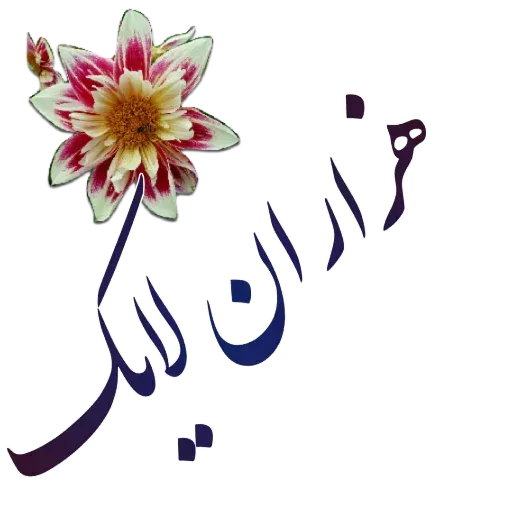 مراد اکبری - Sticker 16
