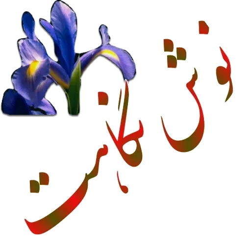 مراد اکبری - Sticker 19
