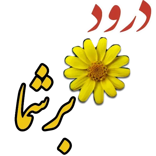 مراد اکبری - Sticker 22