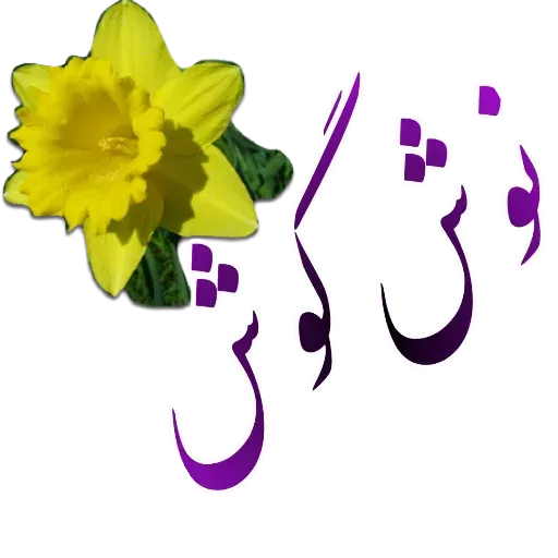 مراد اکبری - Sticker 23