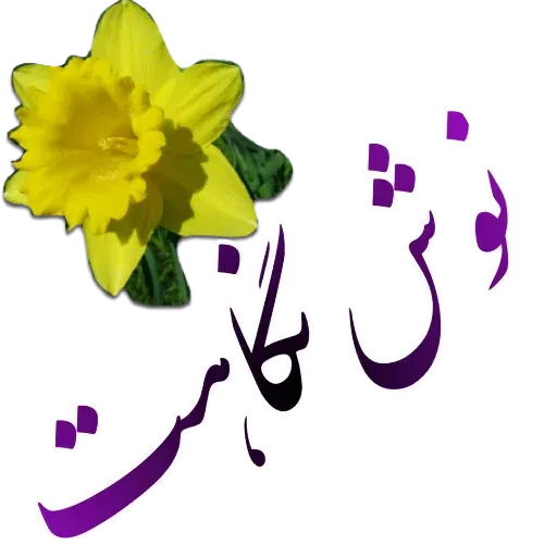مراد اکبری - Sticker 21