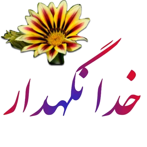 مراد اکبری - Sticker 25