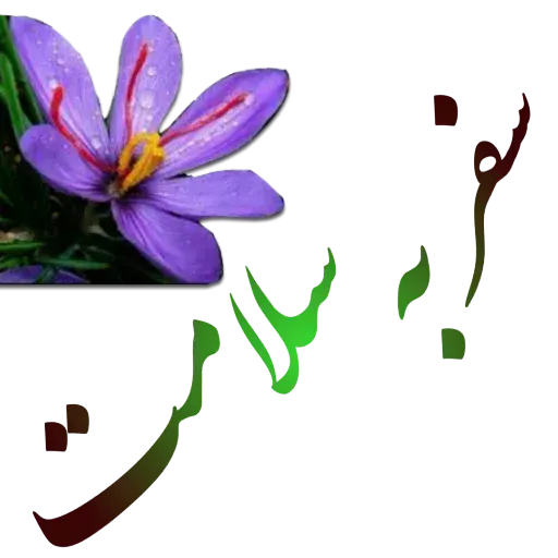 مراد اکبری - Sticker 13