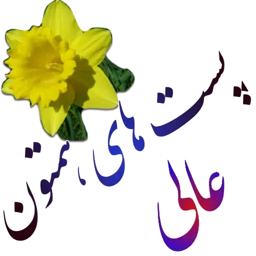 مراد اکبری - Sticker 29