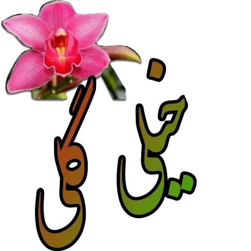 مراد اکبری - Sticker 12