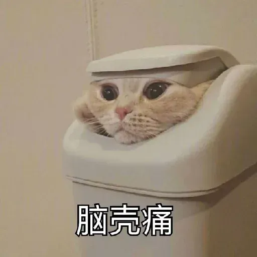 Cat and dogs - Sticker 24
