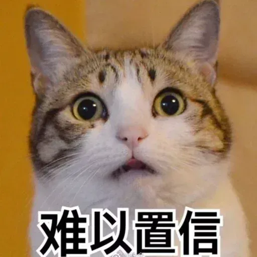 Cat and dogs - Sticker 10