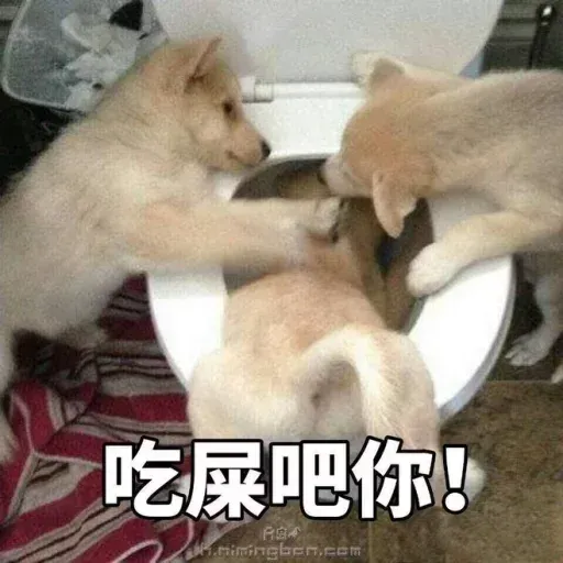 Cat and dogs - Sticker 14