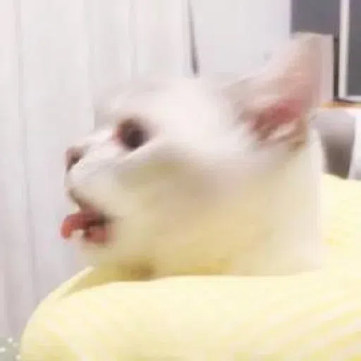 Meow - Sticker 13