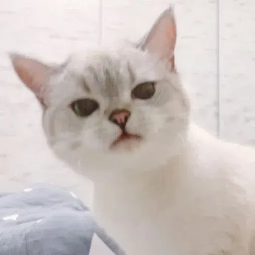 Meow - Sticker 20