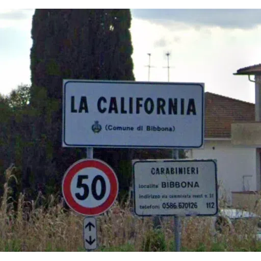 Cartelli - Sticker 22
