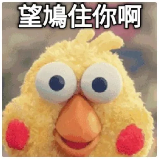 chicken - Sticker 24