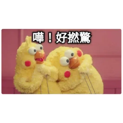 chicken - Sticker 13