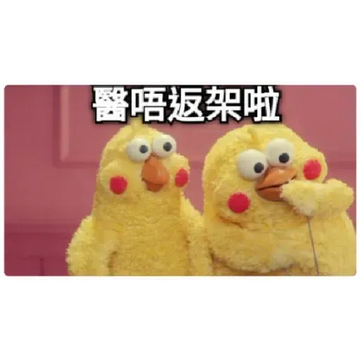 chicken - Sticker 20