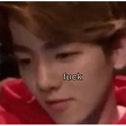 EXO MEME - Sticker 13