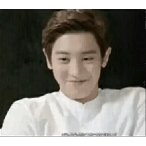 EXO MEME - Sticker 23