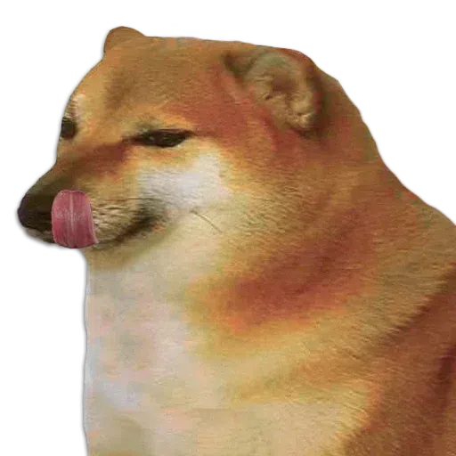 Copied pack - Sticker 13