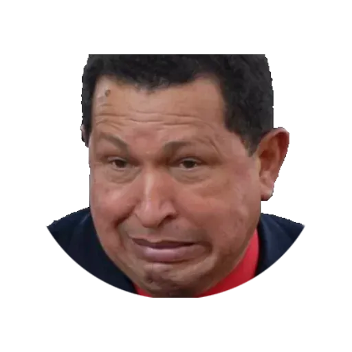 Chavez - Sticker 15