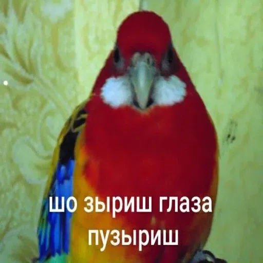 мем - Sticker 19
