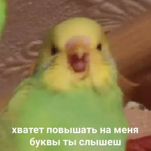 мем - Sticker 28