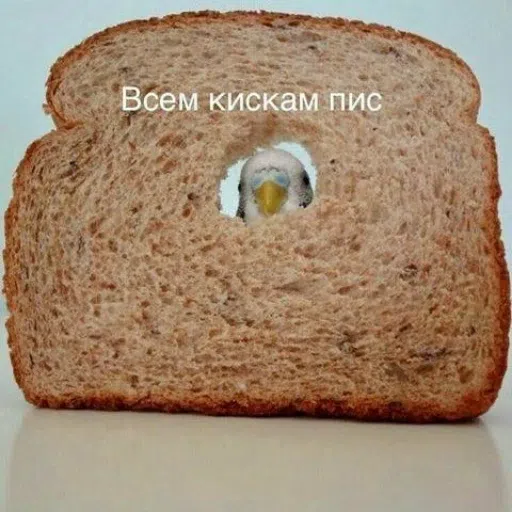 мем - Sticker 11