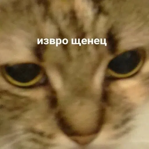 мем - Sticker 25