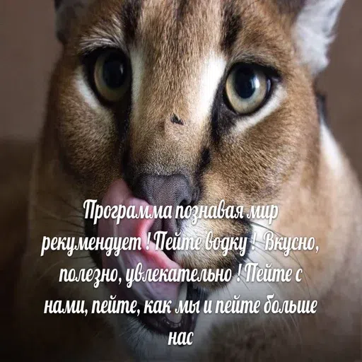 шлёпанцы - Sticker 21