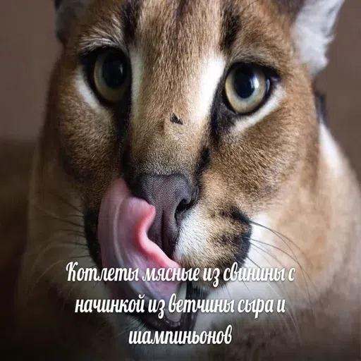 шлёпанцы - Sticker 26
