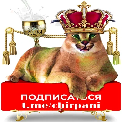 шлёпанцы - Sticker 30